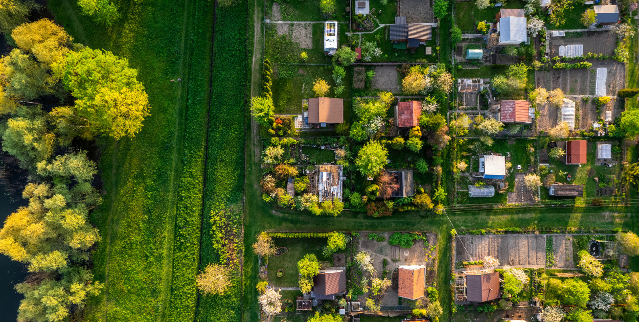 Złodzieje grasują na ogródkach działkowych – kradną, niszczą i plądrują