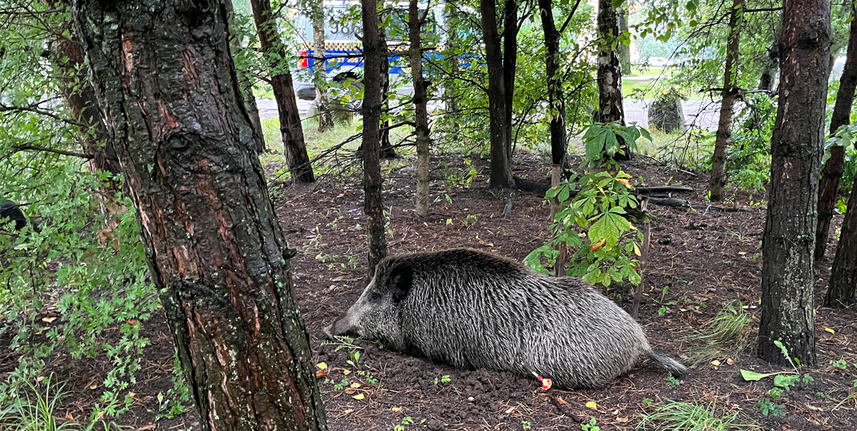 fot. iszczecinek.pl 