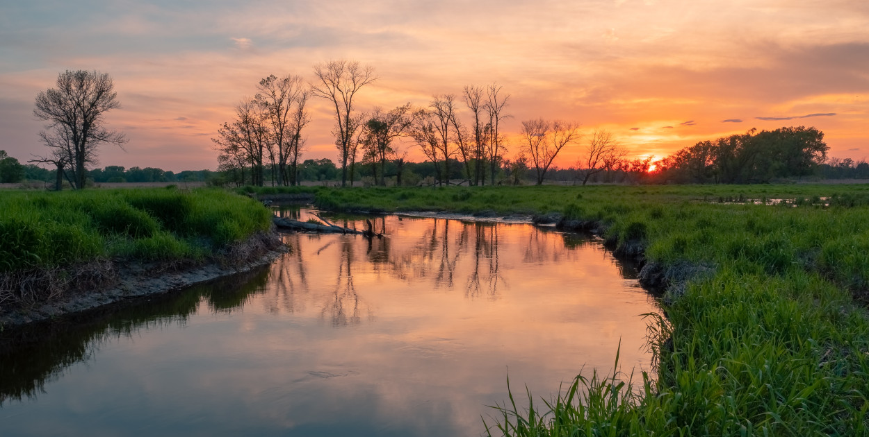 Renaturyzacja rzek - Przywracanie równowagi ekosystemów wodnych