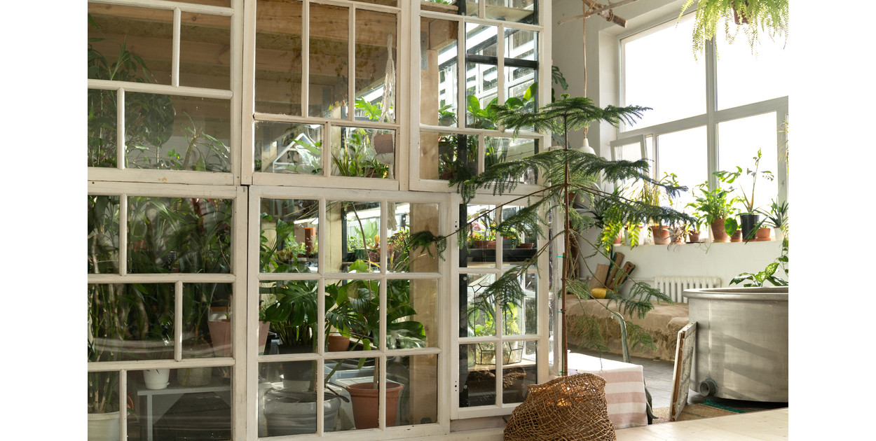 Ogrody zimowe: Oazy spokoju i uroku w zimie