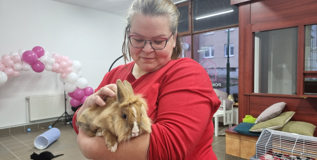 Rozumieją, czują i bardzo nas potrzebują! Świat bez zwierząt byłby pusty i bezbarwny.