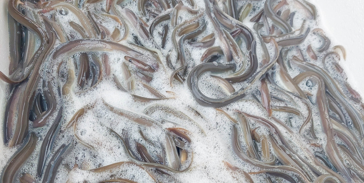 fot. Magdalena Szkudlarek-Szarkowska