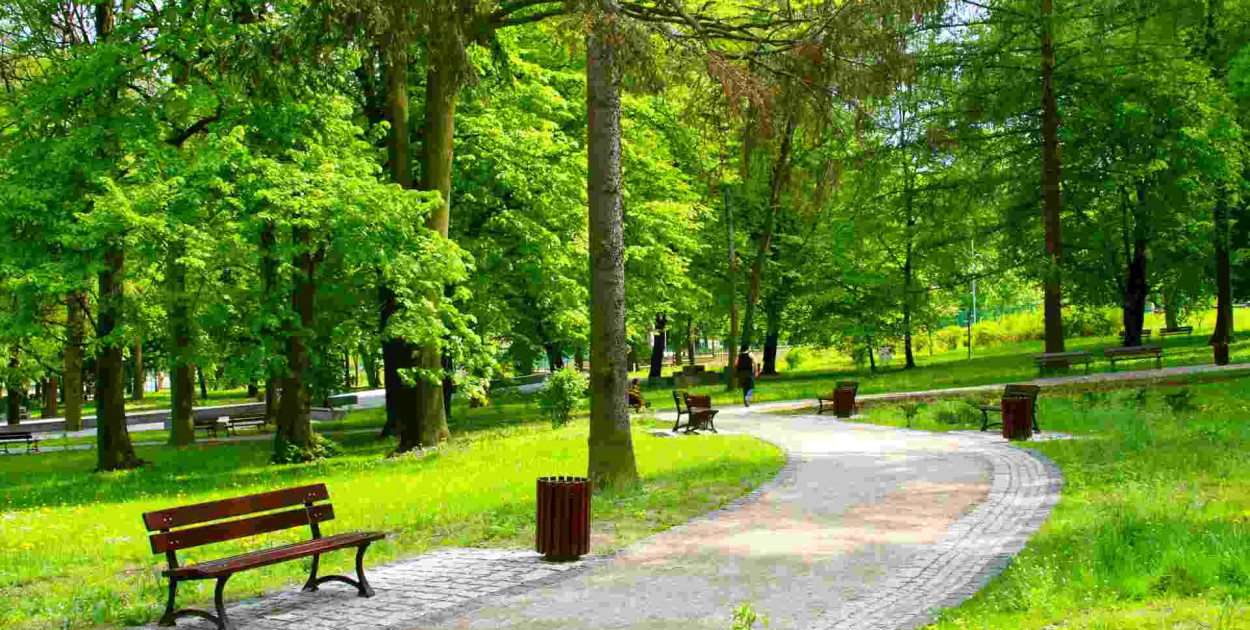 Warszawskie parki - jakie atrakcje oferują?