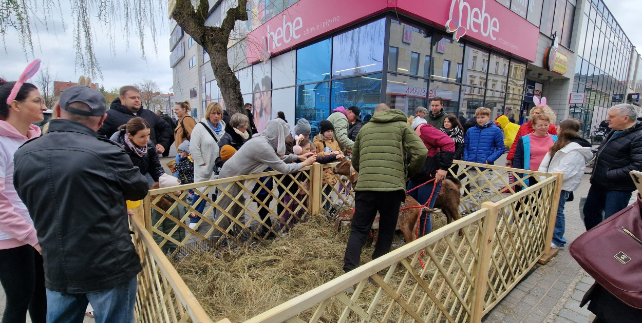 fot. zdjecie organizatora