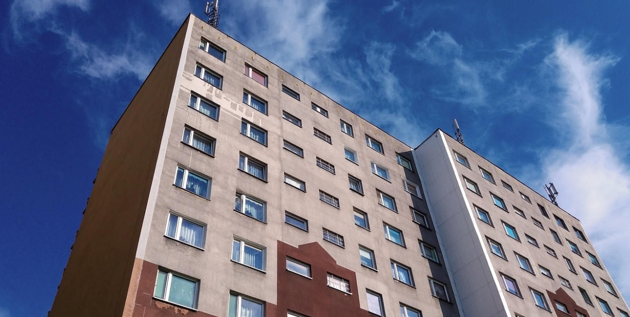 Obraz Adam z Pixabay