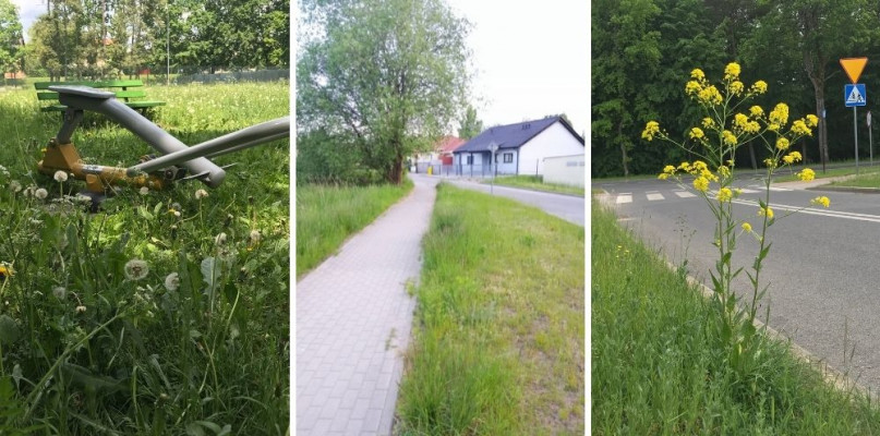 fot. Czytelnicy