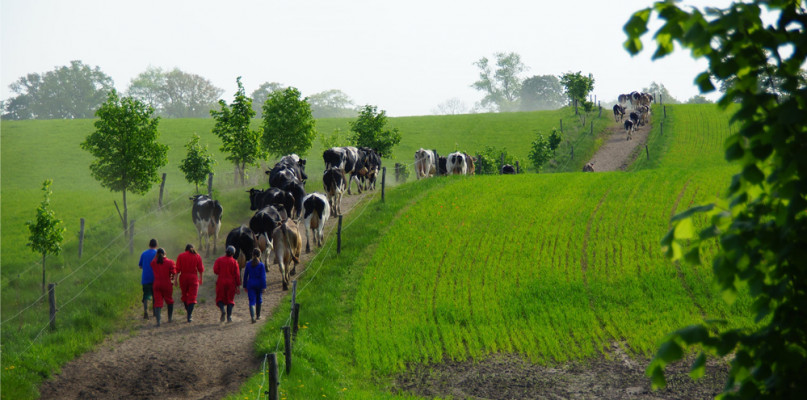 fot. Juchowo Farm