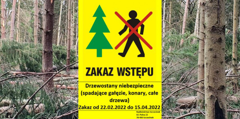 fot. Nadleśnictwo Szczecinek