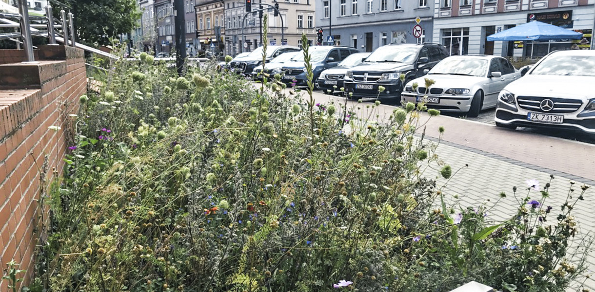 fot. iszczecinek.pl 