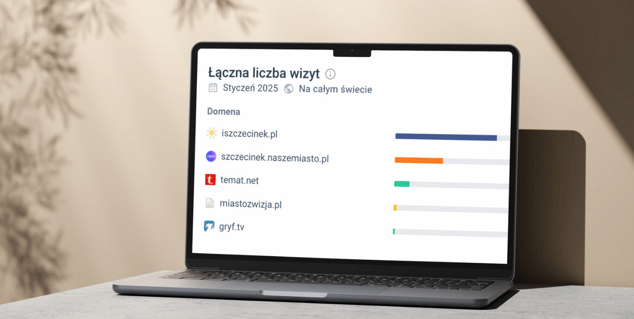 źródło statystyk: similarweb, google analytics