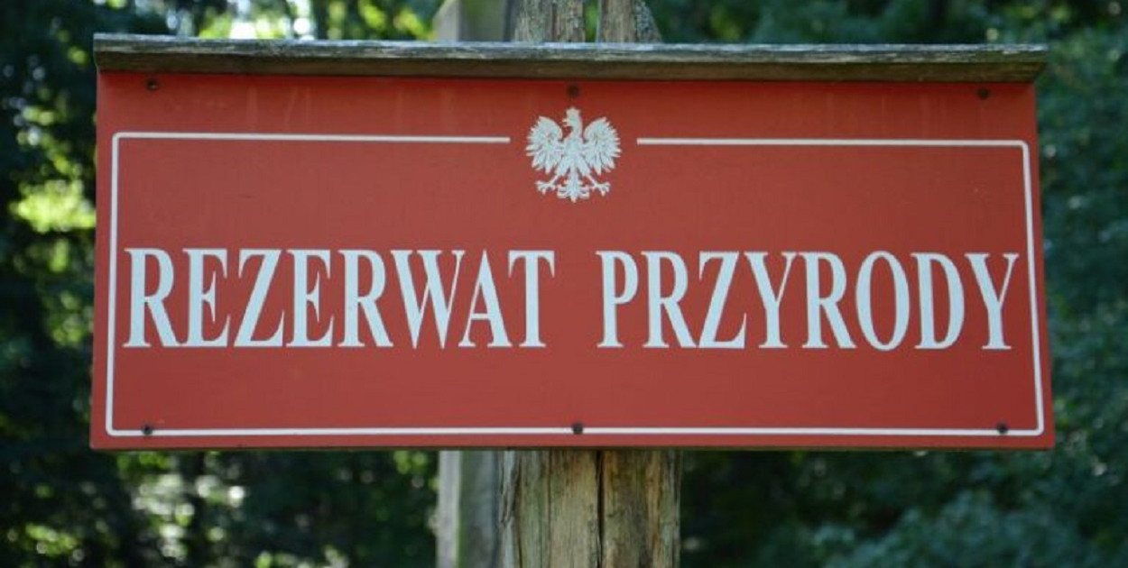  bialowieza-forest.com