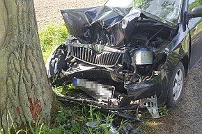 Samochód uderzył w drzewo. Kierowca i pasażer zbiegli ZDJĘCIA-8076