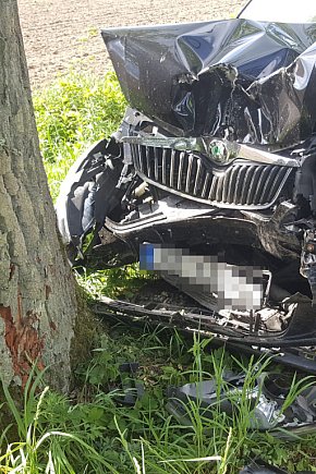 Samochód uderzył w drzewo. Kierowca i pasażer zbiegli ZDJĘCIA-8076