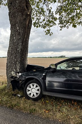 Opel uderzył w drzewo. Jedna osoba ranna-8432