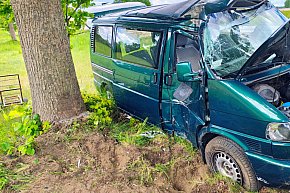 Zwierzę na drodze, bus na drzewie.-8953