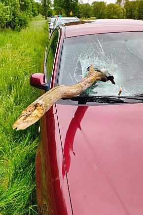 Groźny incydent na DW171. Konar przebił szybę auta.-8962