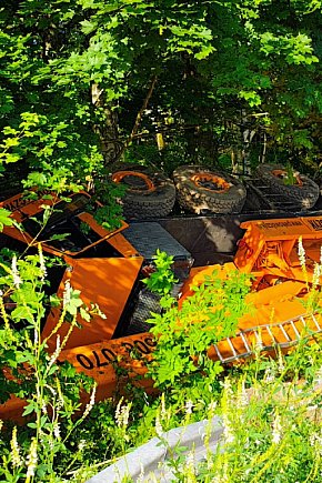 Ogromny dźwig dachował na DK20.-9061