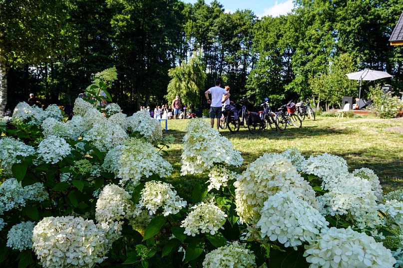 Smaki i aromaty Weekendu Otwartych Winnic