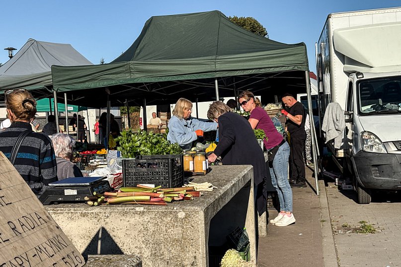 Sierpniowy rynek w obiektywie