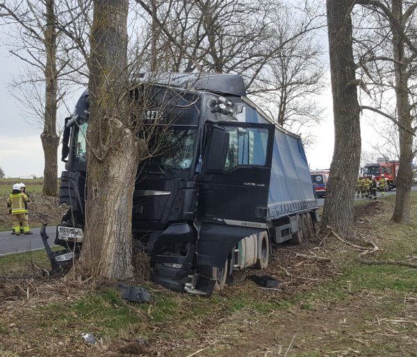 Zderzenie ciągnika z ciężarówką na DW 172. Ciężarówka uderzyła w drzewo...-37779