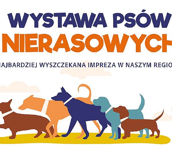 Wystawa Psów Nierasowych w Szczecinku już w niedzielę-42155