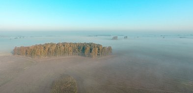 Ostrzeżenie pogodowe: Szczecinek i region spowity mgłą!-43081