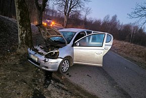 Kierowca Toyoty próbował ominąć dzika. Auto uderzyło w drzewo. -45638