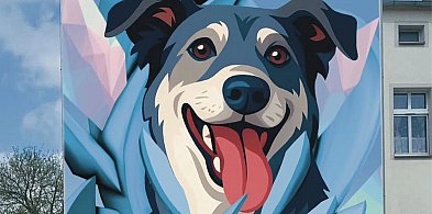 Mural Patryka Rogozińskiego zachęci do adopcji zwierząt-46943