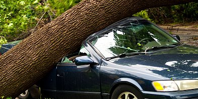 Alerty IMGW dla całego regionu. Nadciąga wichura!-47822
