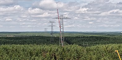 Kolosy nad lasami. Wielka linia energetyczna nabiera kształtów-48008