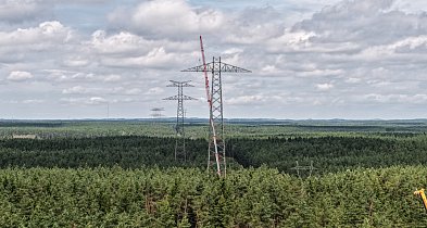 Kolosy nad lasami. Wielka linia energetyczna nabiera kształtów-48008