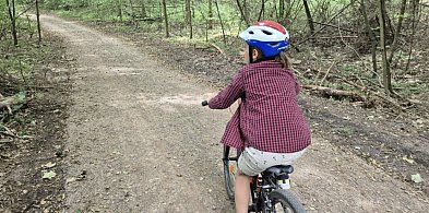 Koniec z błotem i korzeniami! Tak wygląda wyremontowana ścieżka-48181