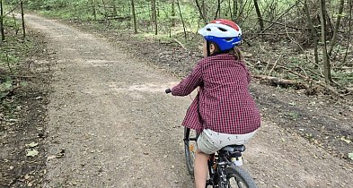 Koniec z błotem i korzeniami! Tak wygląda wyremontowana ścieżka-48181
