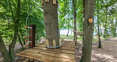 Spacer między drzewami coraz bliżej. Tak wygląda park linowy-48232
