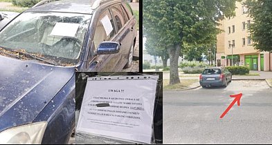 Straż Miejska skutecznie walczy z wrakami aut. Efekty już widać-48344