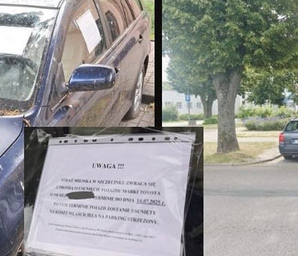 Straż Miejska skutecznie walczy z wrakami aut. Efekty już widać-48344