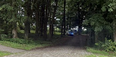 Walka o życie w parku. Rowerzysta na elektryku zderzył się z pieszym-48639