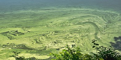 Sanepid zamknął kąpielisko. Sprawdź, gdzie pójść nad wodę-48823
