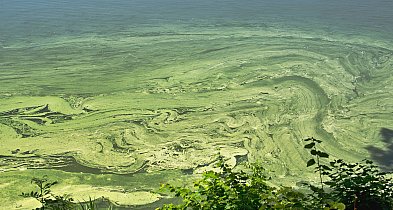 Sanepid zamknął kąpielisko. Sprawdź, gdzie pójść nad wodę-48823