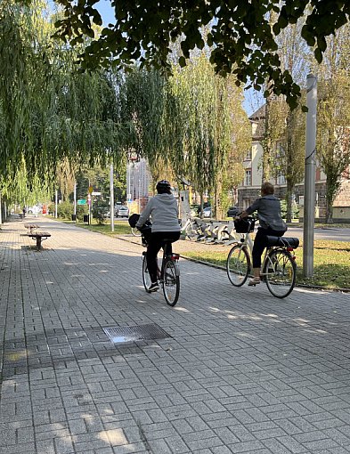 Turyści i mieszkańcy biją rekordy na trasach rowerowych regionu-48921