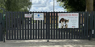 Szczecinek i gminy powiatu z dotacjami na pomoc zwierzętom-49012