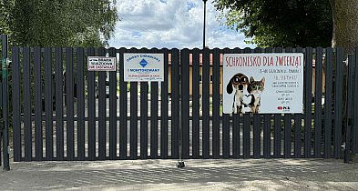 Szczecinek i gminy powiatu z dotacjami na pomoc zwierzętom-49012
