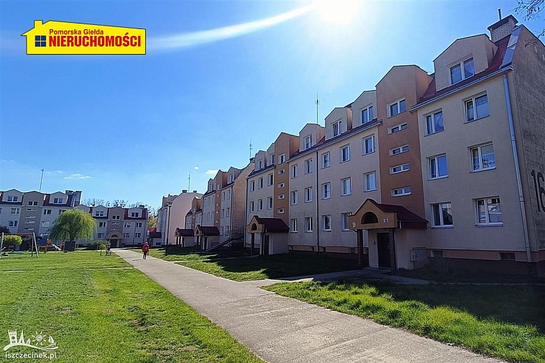 zdjecie ogloszenia