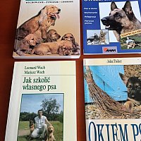zdjecie ogloszenia
