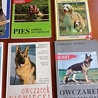 zdjecie ogloszenia