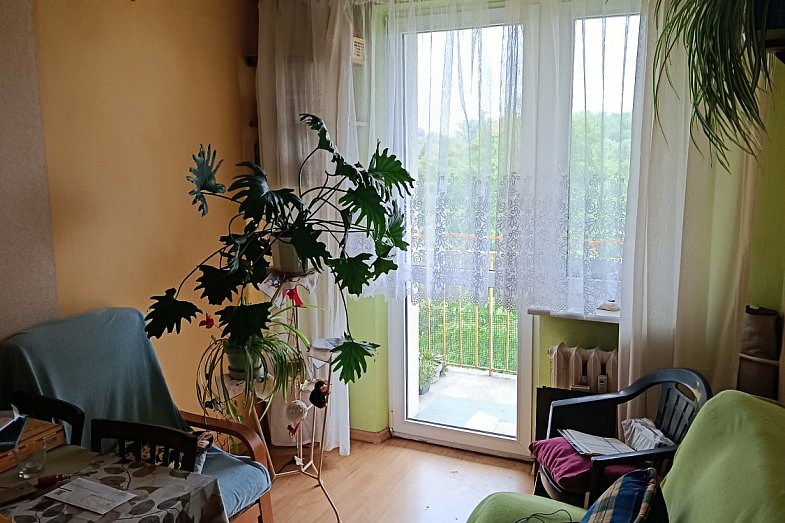 zdjecie ogloszenia