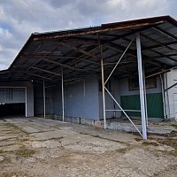zdjecie ogloszenia