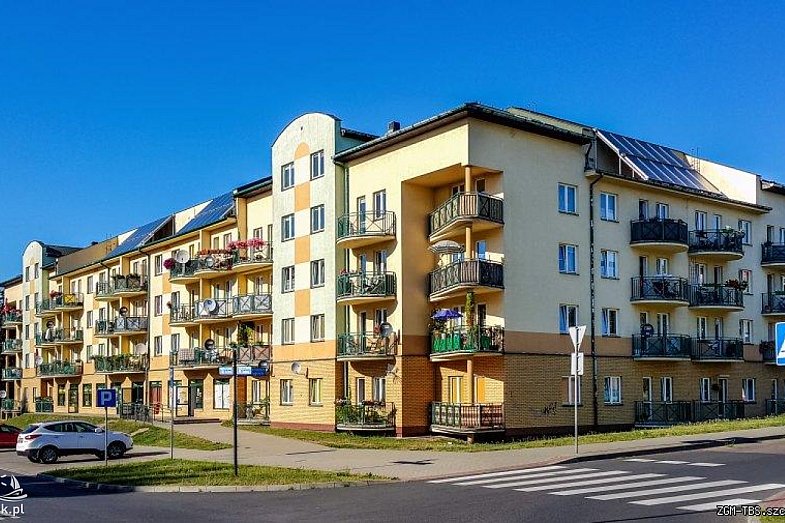 zdjecie ogloszenia