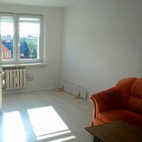 zdjecie ogloszenia