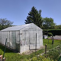 zdjecie ogloszenia